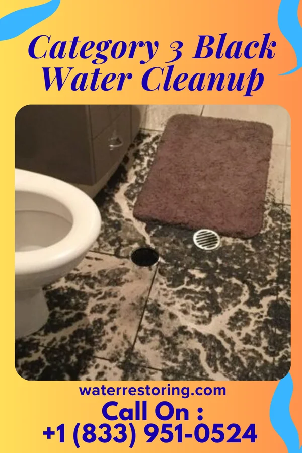 Category 3 Black Water Cleanup in Samoset, FL